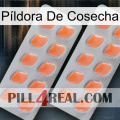 Píldora De Cosecha 27